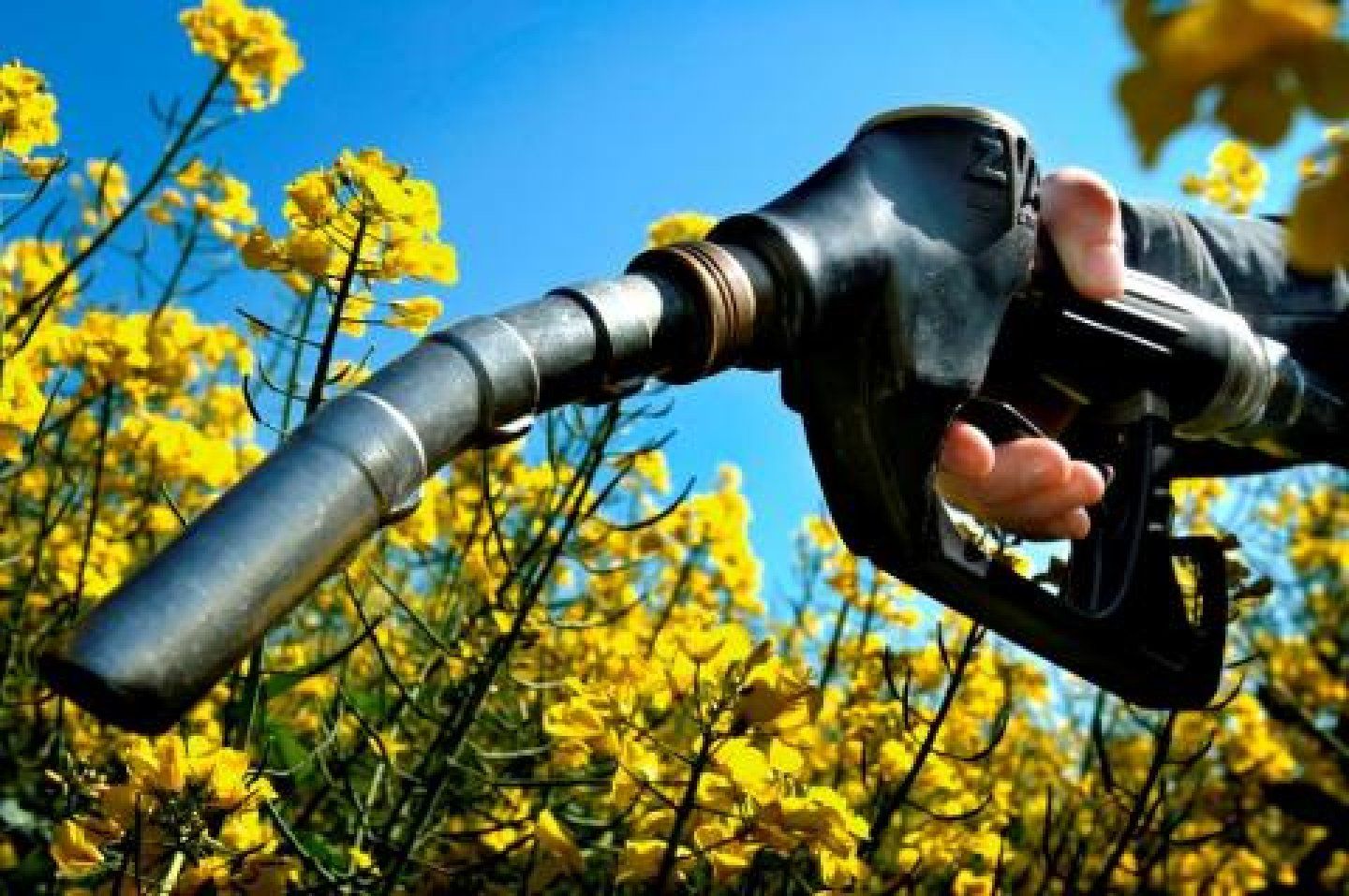 Aandeel vloeibare biobrandstoffen in verbruik biomassa ruim 20 procent